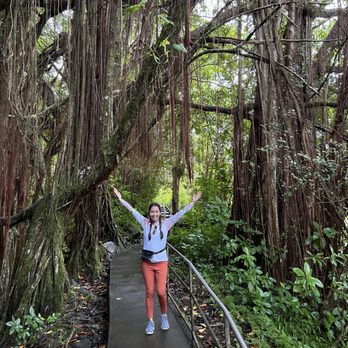Akaka Falls State Park - Parks Near Me - Honomu, Hawaii Akaka Falls State Park - Parks Near Me - Honomu, Hawaii