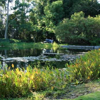 Norton Simon Museum - Monet-inspired garden - Art Museums Near Me - Pasadena, California