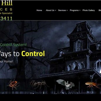 Pyxels Design Studio - Web Design Near Me - Douglas, Massachusetts