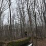 Photo of MacKay Wildlife Preserve