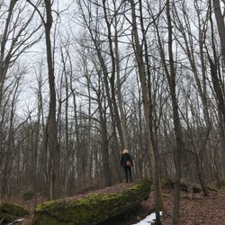 MacKay Wildlife Preserve - Mushroom rock