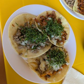 Taqueria Don Roque - Tacos - Tacos Near Me - Palmar de Aramara, JAL Taqueria Don Roque - Tacos - Tacos Near Me - Palmar de Aramara, JAL