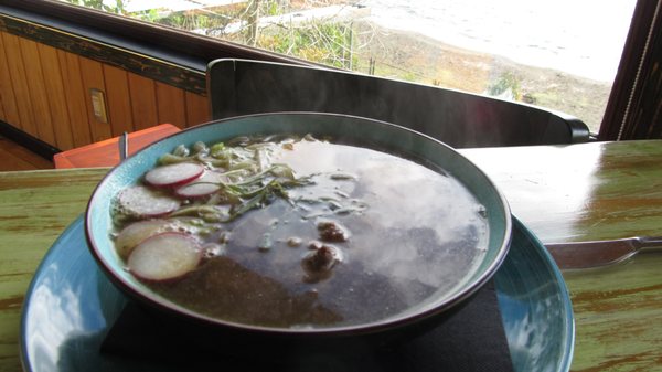 Oxalis Cocina by null