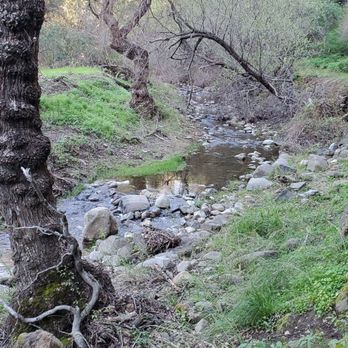 Alum Rock Park - Creek - Parks Near Me - San Jose, California