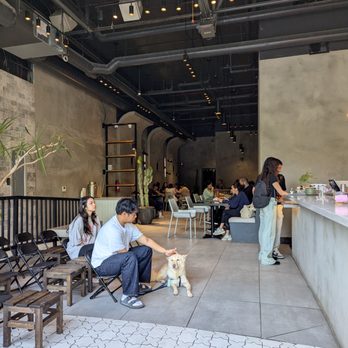 Phe - Coffee & Tea Near Me - Seattle, Washington Phe - Coffee & Tea Near Me - Seattle, Washington