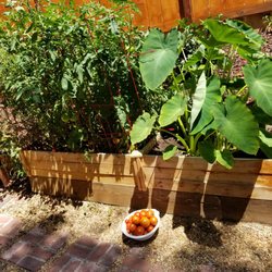 San Diego Ayurveda Healing