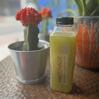 The Sea Moss Factory - a bottle of matchade next to a cactus - Juice Bars & Smoothies Near Me - Hackensack, New Jersey