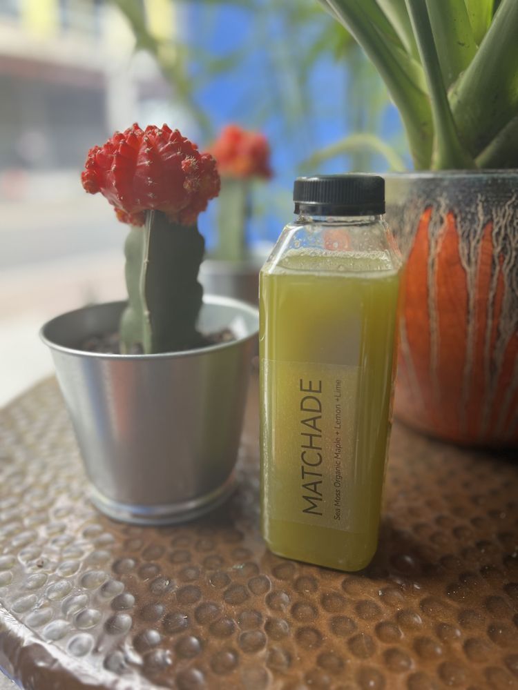 THE SEA MOSS FACTORY Updated September 2024 17 Photos 306 B Main St, Hackensack, New