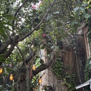 Casa Tua - Ambiance - Italian Near Me - Miami Beach, Florida