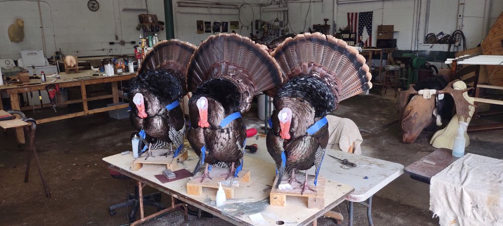 Chad D.Kurtz Taxidermy&Wholesale - taxidermy in Brookville, PA