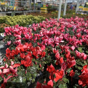 The Home Depot - Spring planting! - Hardware Stores Near Me - Fort Worth, Texas