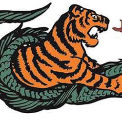 Tiger Dragon Karate Club