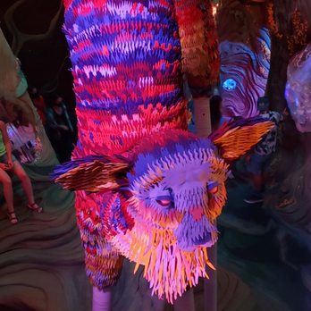 Meow Wolf - Venues & Event Spaces Near Me - Denver, Colorado