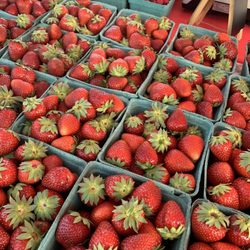 Whitestown Farmer's Market - Fabulous strawberries