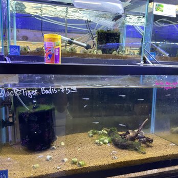 Ck Fish World - Local Fish Stores Near Me - West Covina, California