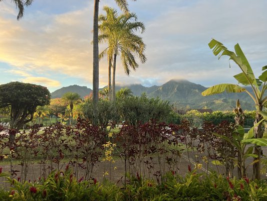 Hanalei Bay Resort by null