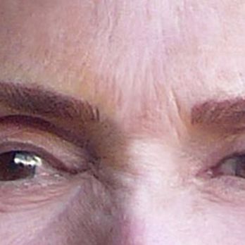 Susan Lawrence Studio - New brows - Permanent Makeup Near Me - Ventura, California