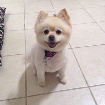 Cc's Pet Salon - Pet Groomers Near Me - Visalia, California