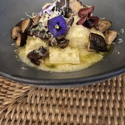 Yuzi - Gnudi