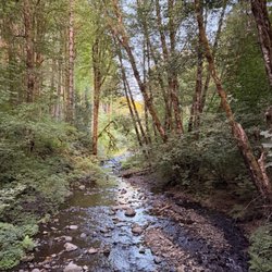 Gales Creek Campground - Gales Creek