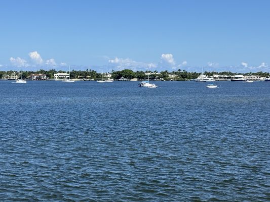 Manatee Lagoon by null
