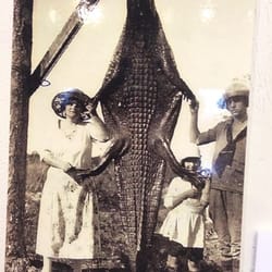 Matheson Museum - Marjory Harris Carr and her skinned gator-2015