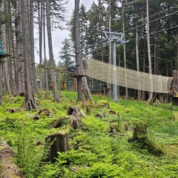 Icy Strait Point - Travel Services Near Me - Hoonah, Alaska Icy Strait Point - Travel Services Near Me - Hoonah, Alaska