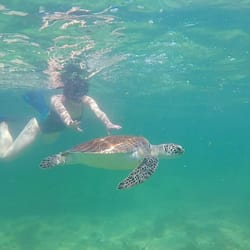 Holbox Adventure