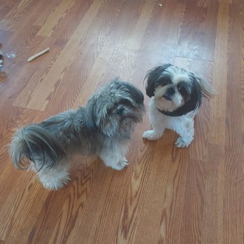 PetSmart - Pet Training Near Me - Bradenton, Florida