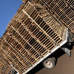 Saguaro Pallets