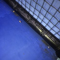 Urban Air Trampoline and Adventure Park