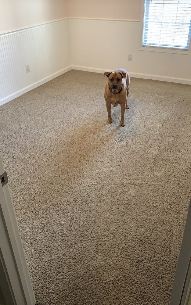 ACTIONCLEAN Updated June 2024 17 Photos & 23 Reviews 875