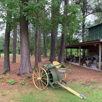 Gregory Farms and Vineyard - Wine Tasting Room Near Me - Currie, North Carolina Gregory Farms and Vineyard - Wine Tasting Room Near Me - Currie, North Carolina