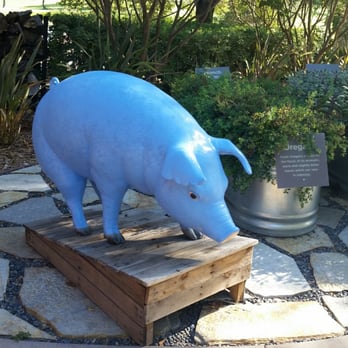 Corkfire Kitchen - Blue pig? - New American Near Me - Temecula, California