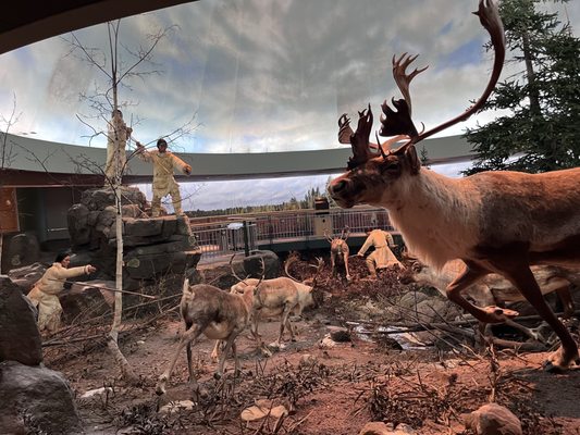 Mashantucket Pequot Museum & Research Center by null