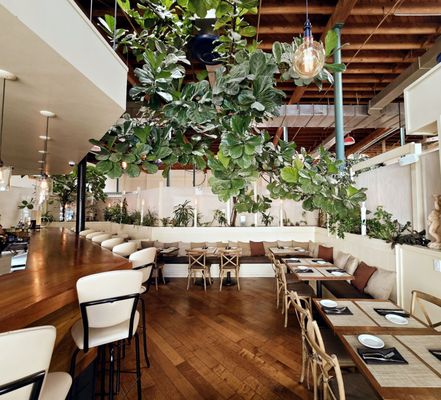 Caprice Cafe by null