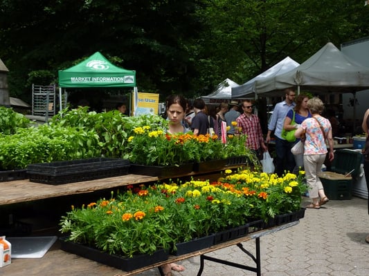 Fort Greene Park Greenmarket by null