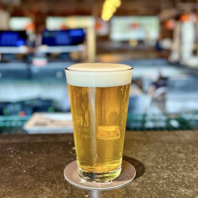 Karl Strauss Brewing Company by null