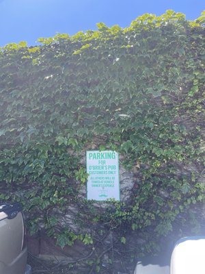 O'Brien's Pub by null