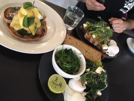 The Lion Hotel by null