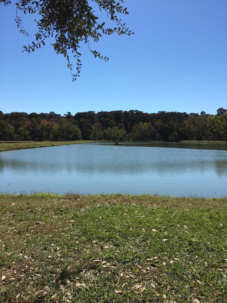 CATFISH HEAVEN AQUA FARM & RV PARK Updated August 2024 1554 Cypress
