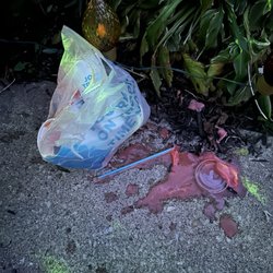 Ripped bag