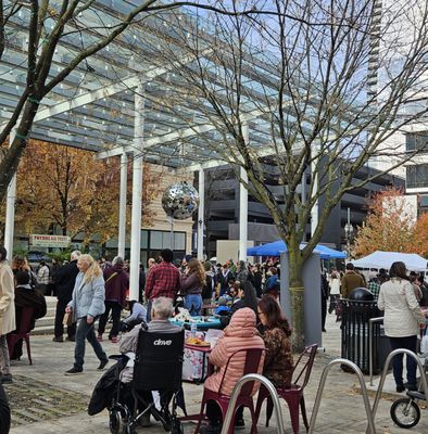 Director Park by null