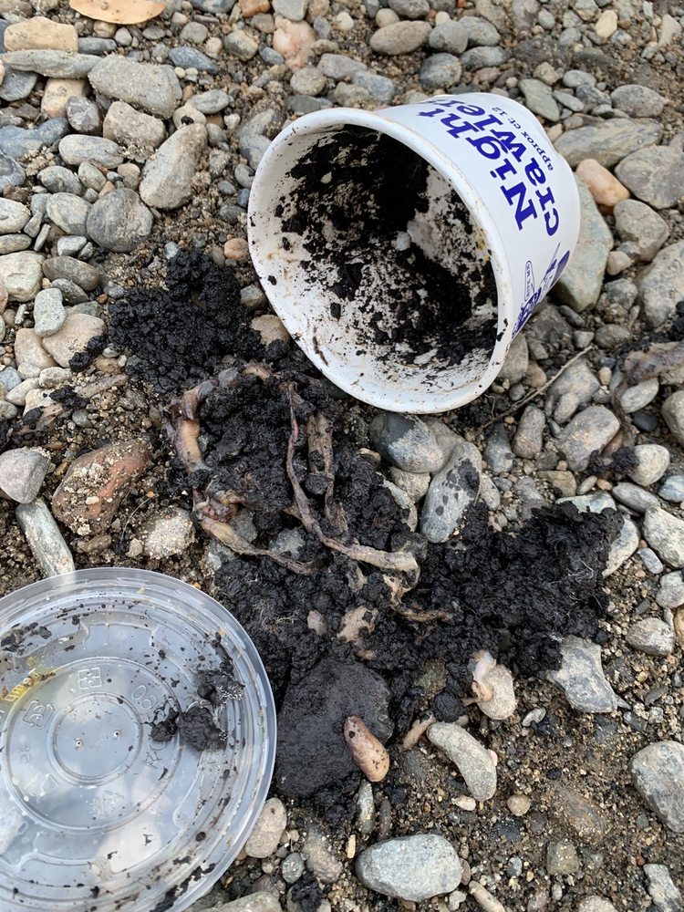 BAIT BARN Updated August 2024 12505 Yosemite Blvd, Waterford