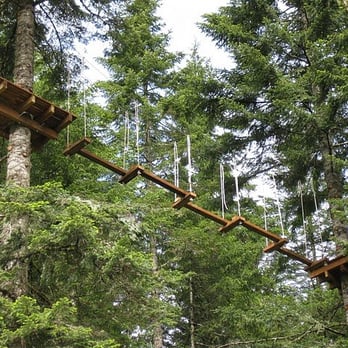 Tree to Tree Adventure Park - Amusement Parks Near Me - Gaston, Oregon Tree to Tree Adventure Park - Amusement Parks Near Me - Gaston, Oregon