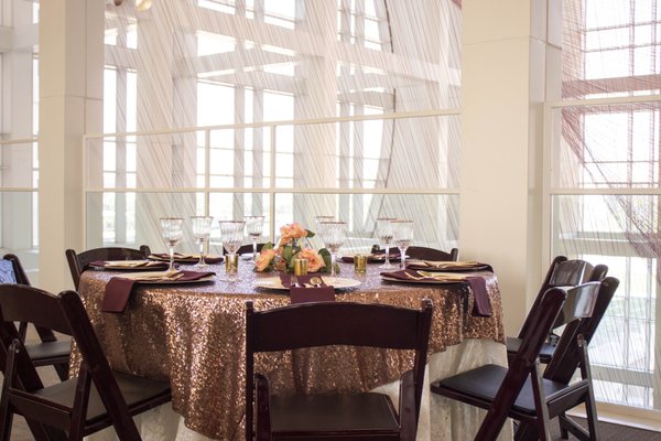 The Florida Museum of Photographic Arts by null