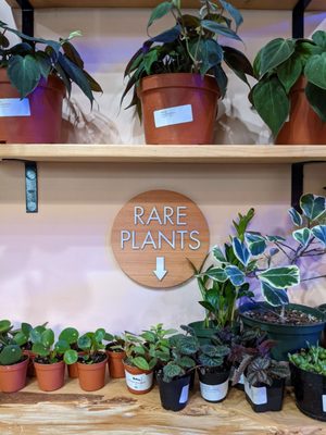 The Mellow Mission by null