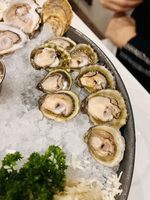 Fanny Bay Oyster Bar & Shellfish Market by null