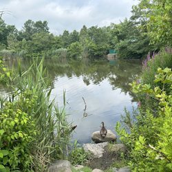 Dahnerts Lake County Park