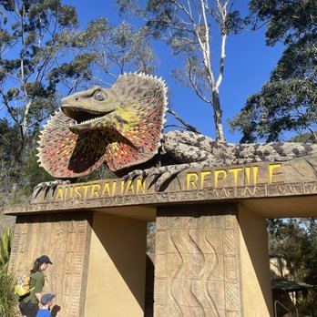 Australian Reptile Park - Komodo dragon at entrance - Zoos Near Me - Somersby, NSW Australian Reptile Park - Komodo dragon at entrance - Zoos Near Me - Somersby, NSW
